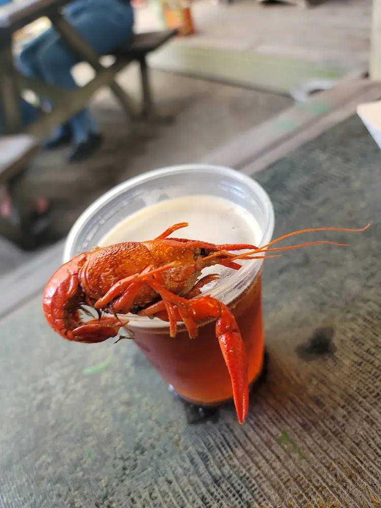 Devil Back Bone Beer